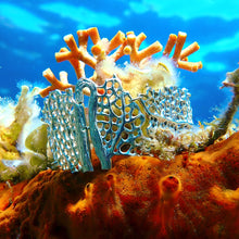 Charger l'image dans la galerie, LABYRINTHE