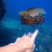 Charger l'image dans la galerie, SEASHELL