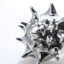 Charger l'image dans la galerie, SEASHELL