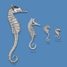 Load image into Gallery viewer, SEAHORSE (M)
